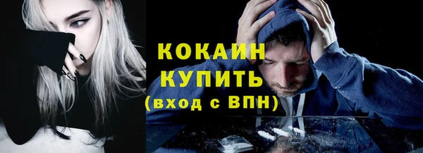 бошки Новодвинск