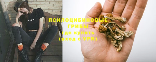 спайс Нея