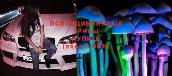 винт Вяземский